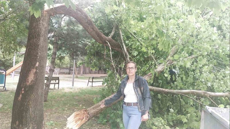 Yıldırım elektrik trafosuna zarar verdi