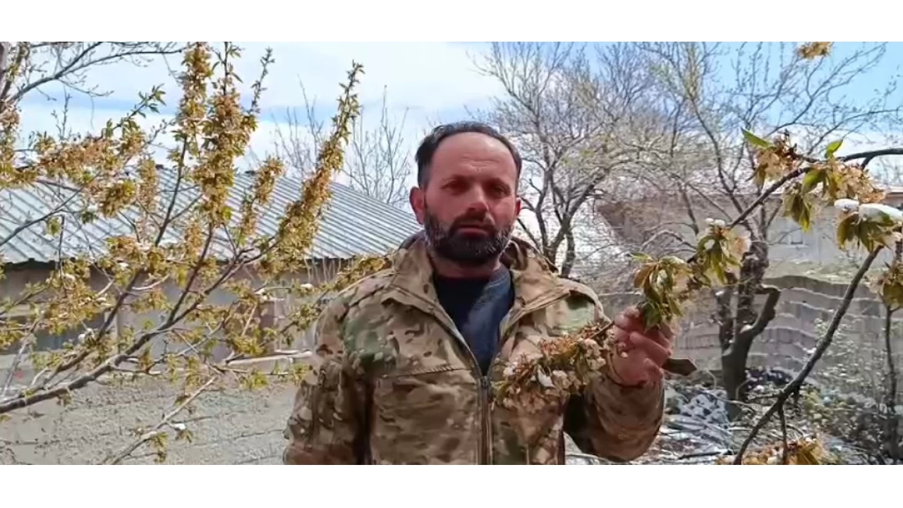 Yozgat'ta zirai don meyve a�a�lar�n� vurdu