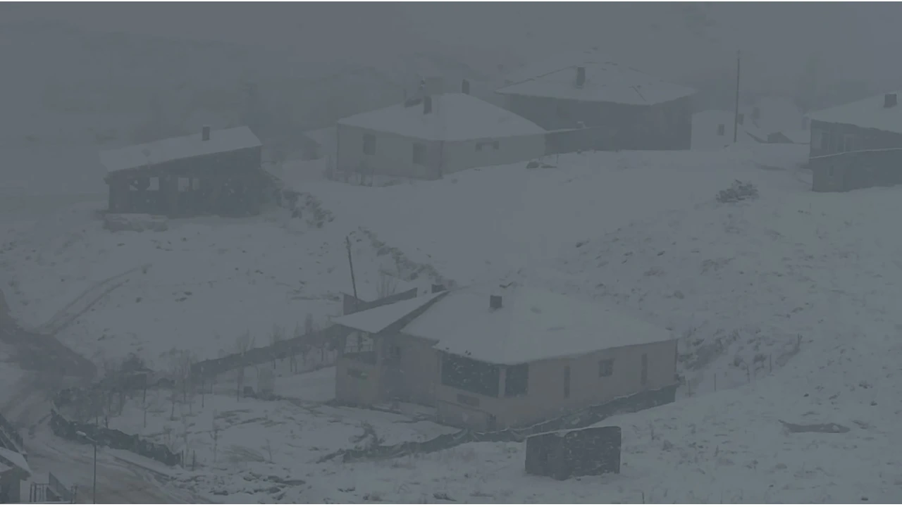 Yüksekova'da yoğun kar yağışı uçak seferlerini durdurdu