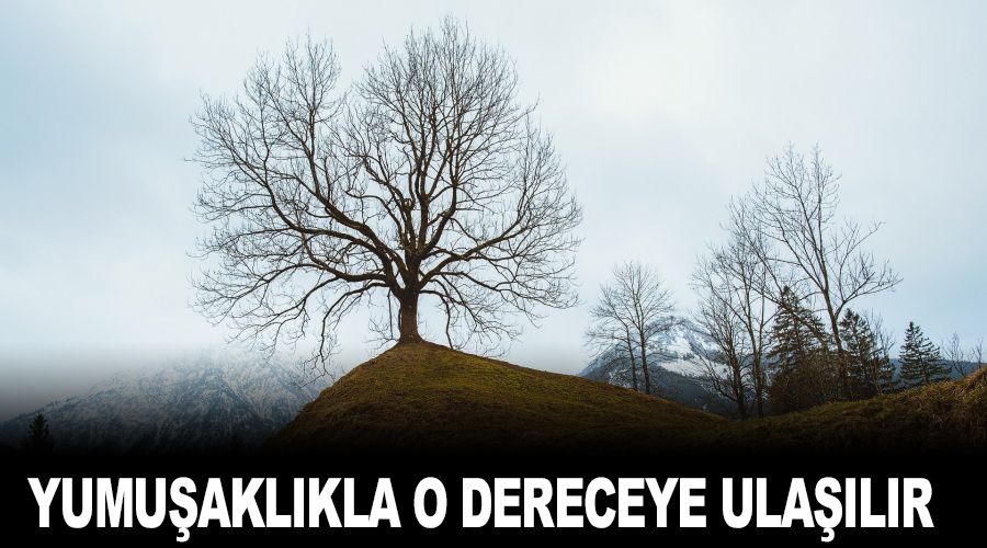 Yumuşaklıkla o dereceye ulaşılır