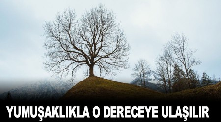 Yumuşaklıkla o dereceye ulaşılır