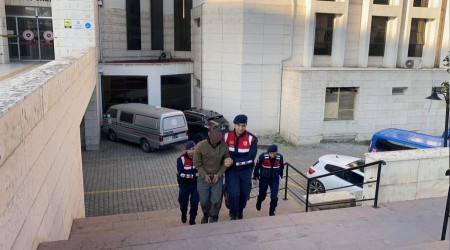 Zeytinlikte suçüstü yakalandılar
