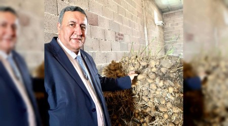 100 bin ton patates çürüdü