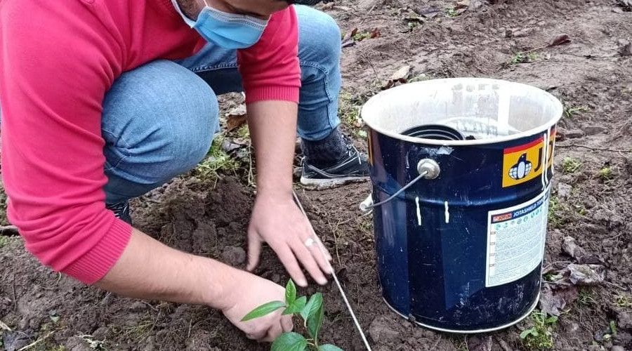 40 yıl Avrupa'da yaşadı, memleketine dönüp aronya bahçesi kurdu