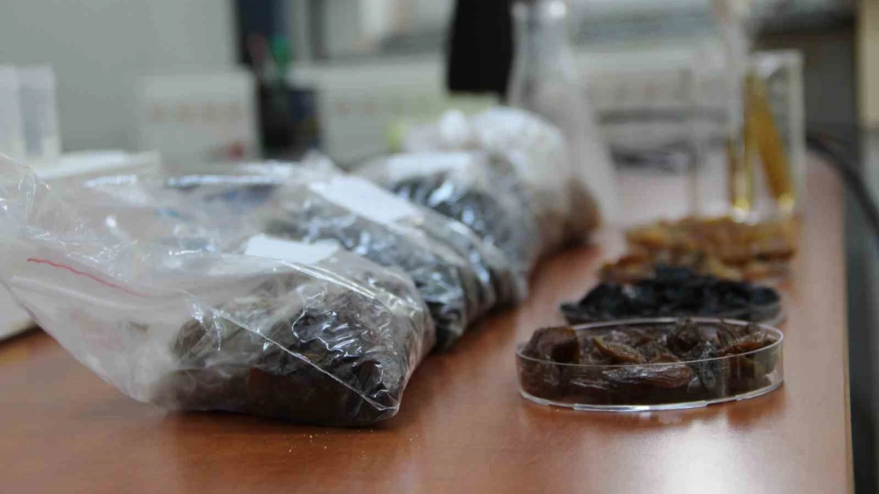 500 milyon dolarlk ihracata bilimsel kalkan