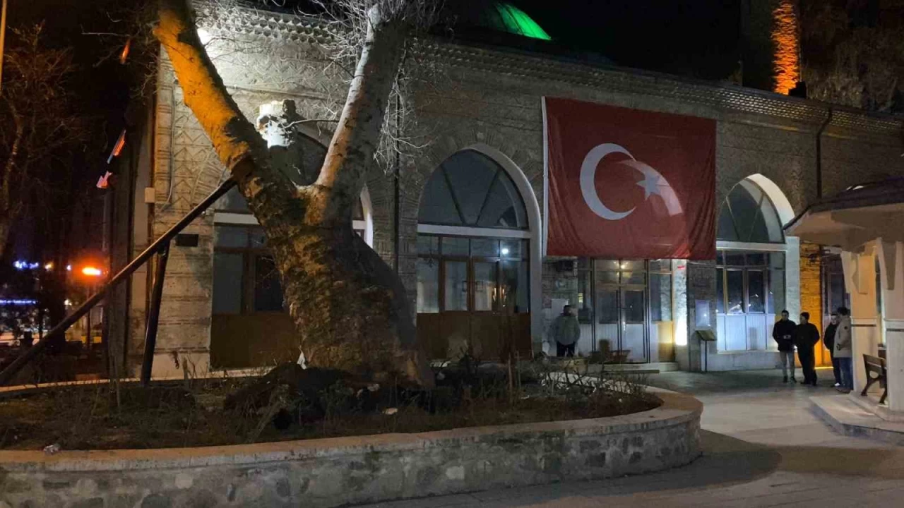 550 yıllık çınar, tarihi İshakpaşa Camii'nin üzerine devrildi