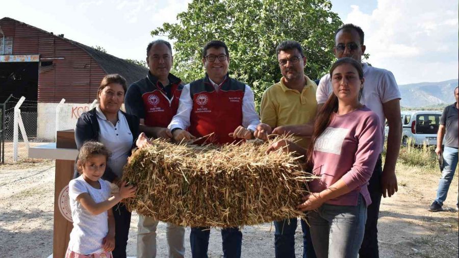 70 kadn reticiye 700 saman balyas datld