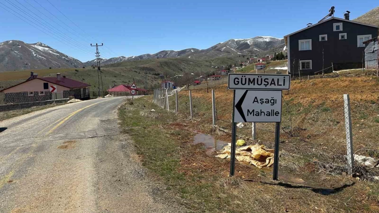 72 yandaki adamn lmne neden olan kpekler sahipli kt