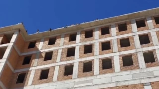 Adliye binas yapan ve maalarn alamayan iiler atya kt