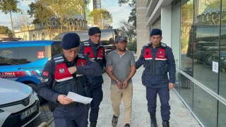 Ağaç kesimi sırasında komşusunun ölümüne sebep oldu