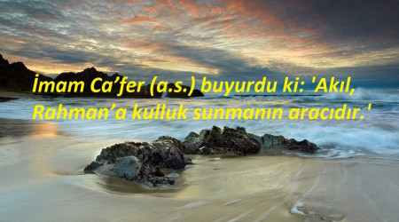 Akıl, Rahman’a kulluğun aracıdır