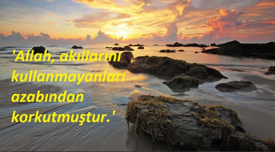 Akıllarını kullanmayanları azabıyla korkuttu