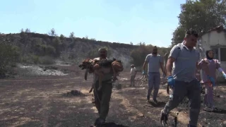 Aksu'da yrek yakan yangnda evler hasar grd