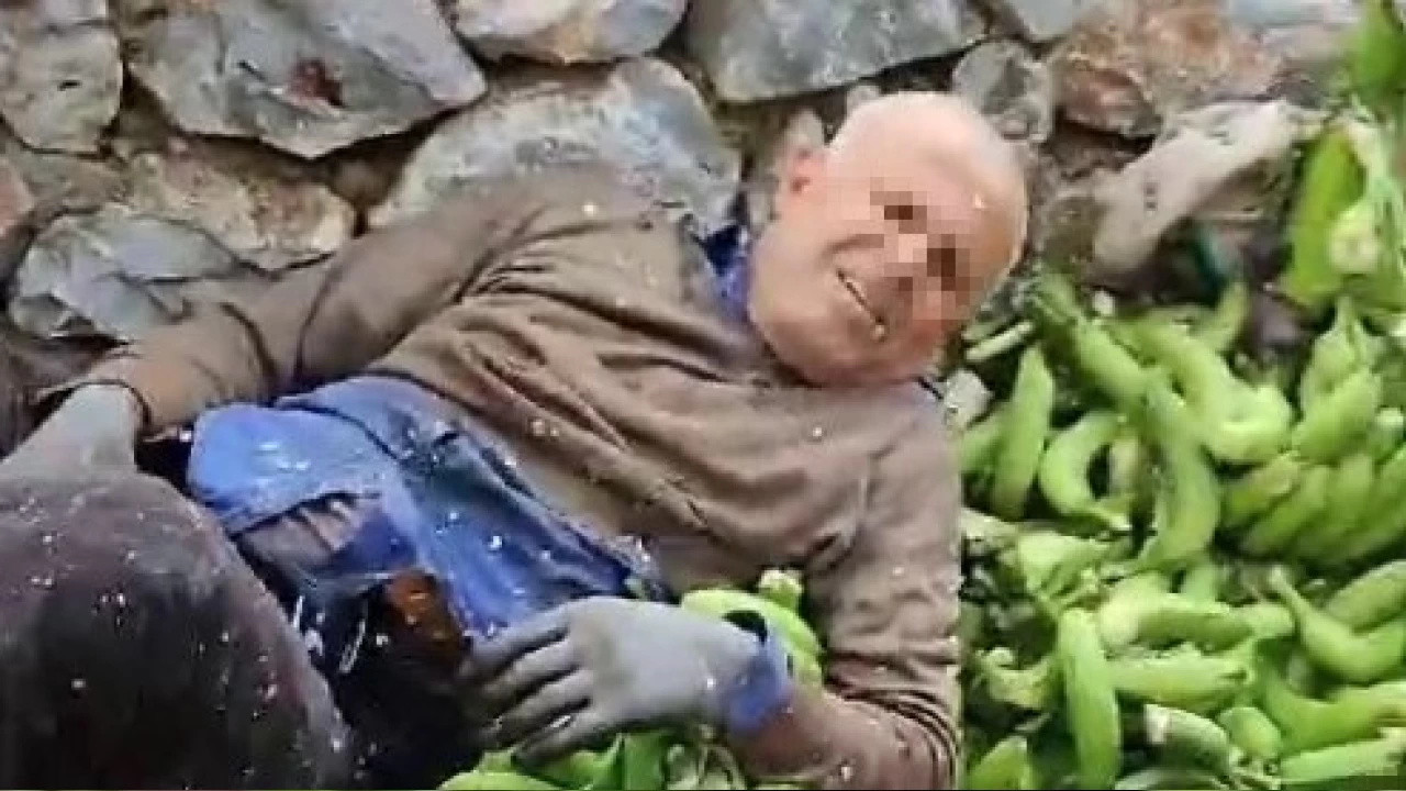 Alanya'da muz serasında ortalık savaş alanına döndü: 2 ölü, 2 yaralı