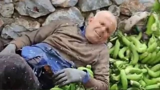 Alanya'da muz serasında ortalık savaş alanına döndü: 2 ölü, 2 yaralı