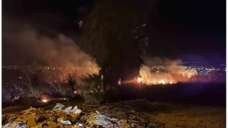 Alevlerin geceyi aydınlattığı sazlıktaki yangın yerleşim alanına ulaşmadan söndürüldü