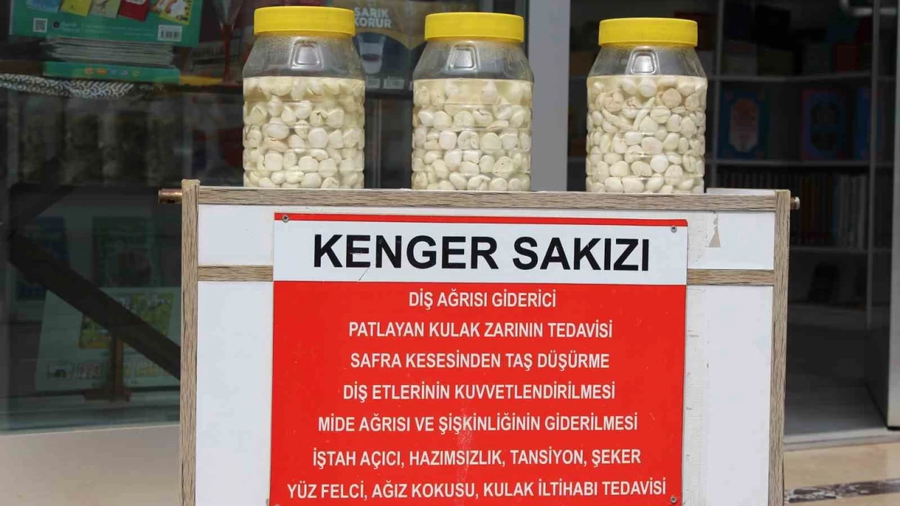 Altından değerli sakız, fiyatı dudak uçuklatıyor