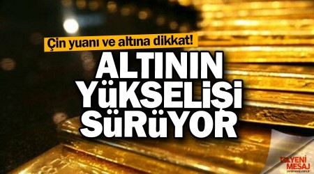Altnn ykselii sryor