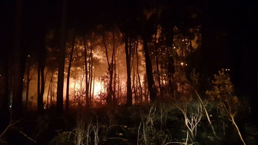Antalya'da orman yangını