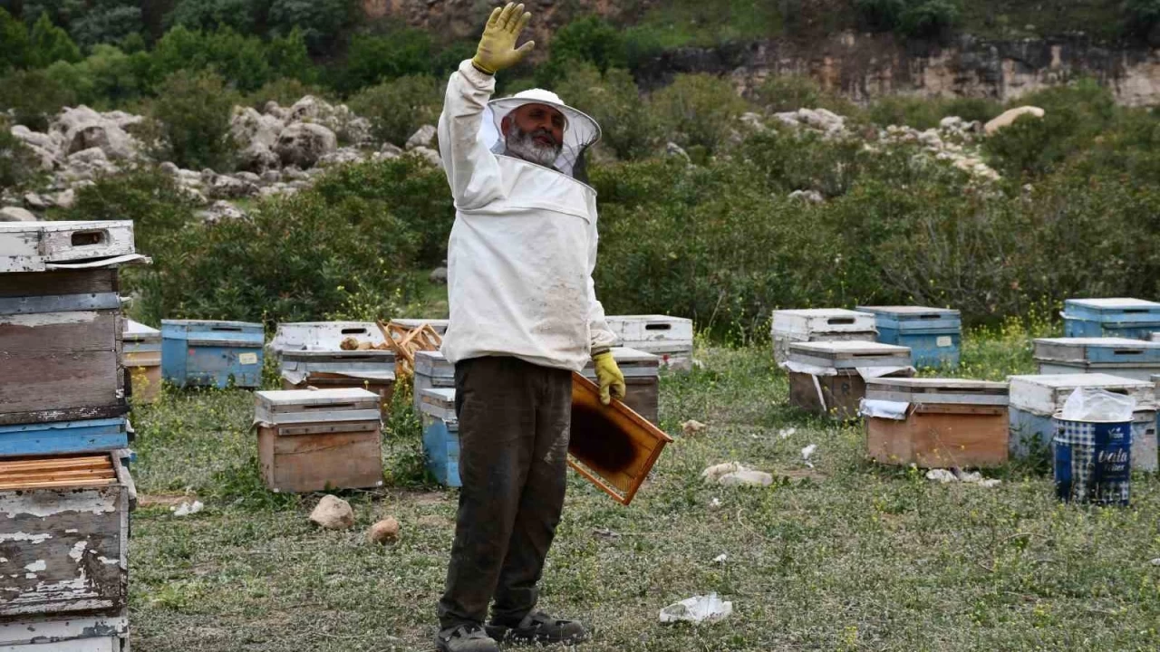 Arıcılar doğal bal için yollarda