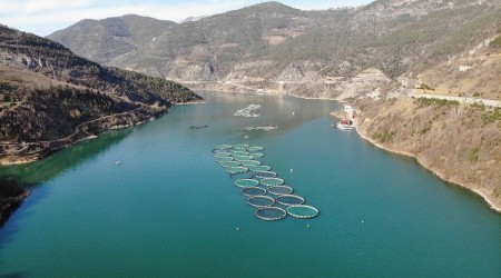 Artvin somonları dünya pazarında
