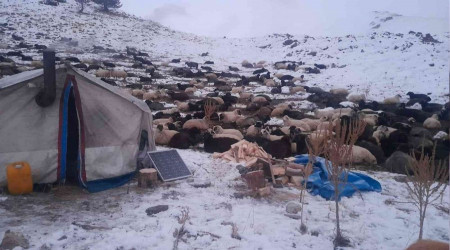 Artvin'de besicilerin zorlu kış mücadelesi