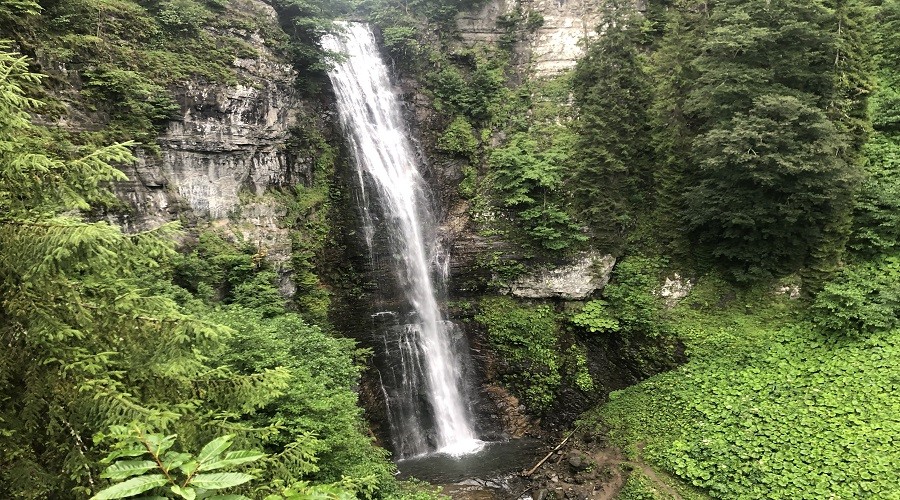 Artvin'de hayata hayat katan gzel; "Maral elalesi" 