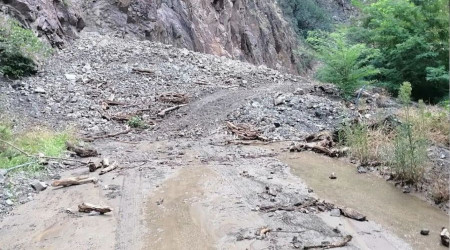 Artvin'de sağanak köy yolunu kapattı