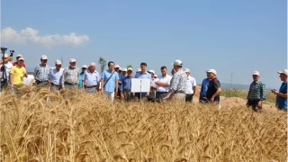 Aslanapa'da iftilerin gndeminde maliyet ve sulama var