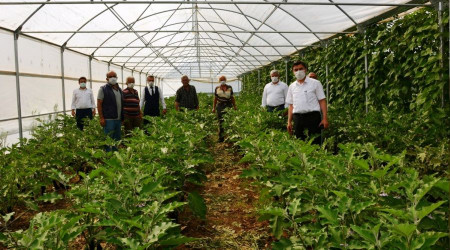 Atıl araziye kurdukları sera gelir kapısı oldu