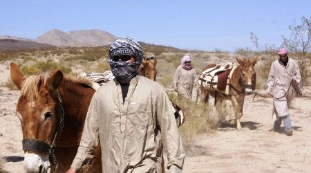 Atlara yükledikleri kaçak silahlarla yakalandılar