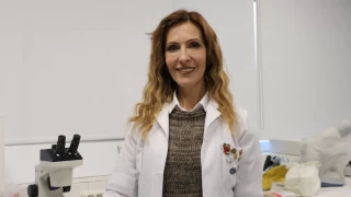 Avrupa Arı Sağlığı Bilim Kurulu'na Türk başkan