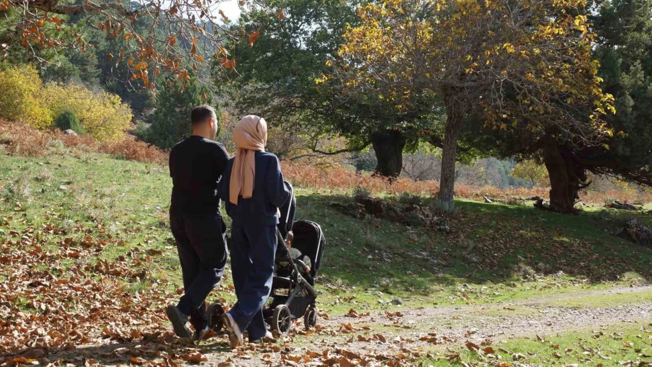 Aydn dalar sonbahara kucak at