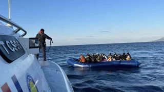 Ayvack aklarnda 33 kaak gmen yakaland