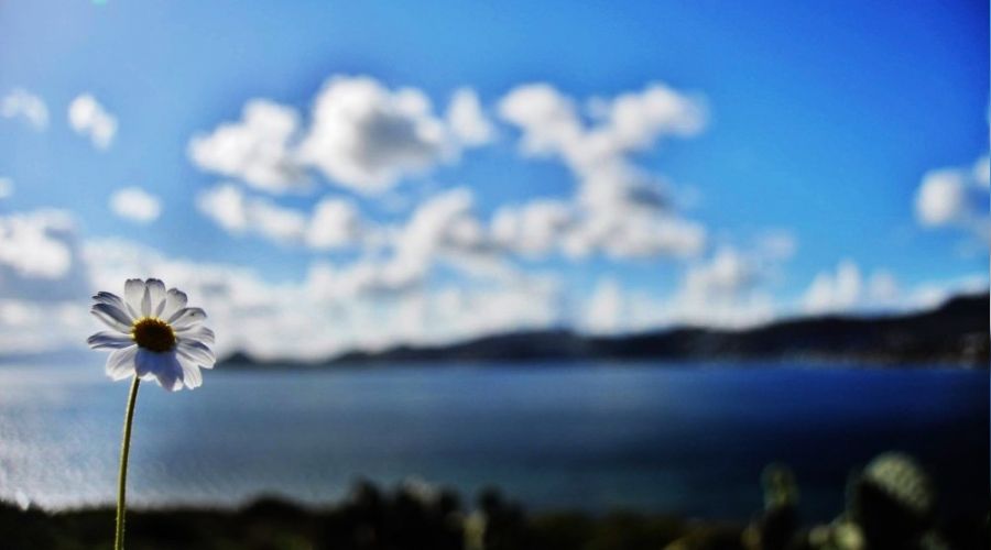 Baharın müjdecisi ilk cemre havaya düştü