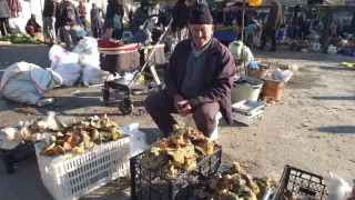 Balkesir'de yamur yad, mantar fkrd