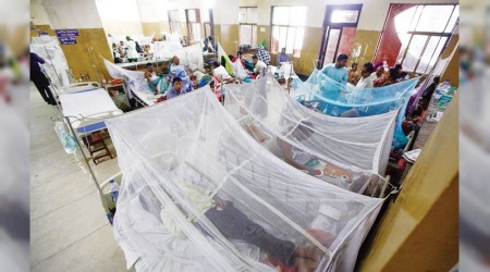 Banglade'te humma tehlikesi yaylyor