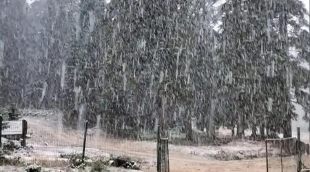 Bartın ve Zonguldak'ta mevsimin ilk kar yağışı başladı