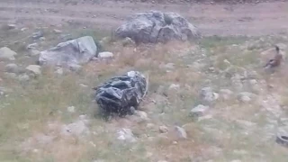 Batman'da bilirkişi ekibini taşıyan araç şarampole yuvarlandı