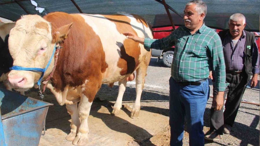 Bayram yakla�t� pazarl�klar k�z��t�