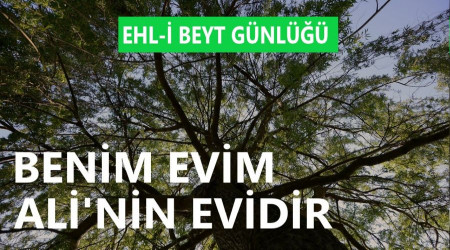 ‘Benim evim Ali’nin evidir’