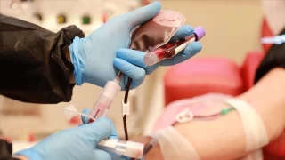 Beyaz kan hücrelerinin artması lösemiye neden olur