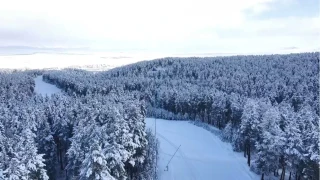 Beyaza brnen Sarkam havadan grntlendi