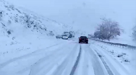 Bitlis'te çok sayıda araç yolda kaldı