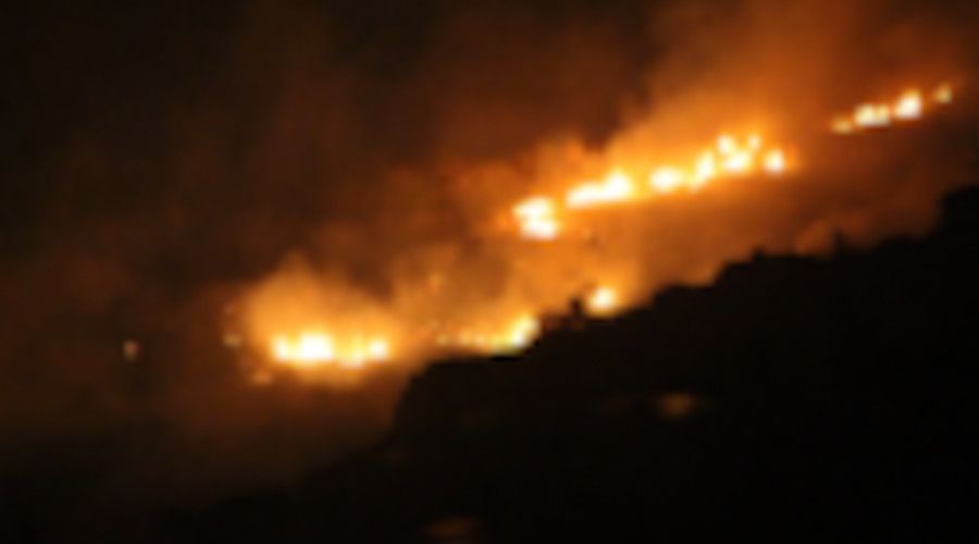 Bodrum'da ��kan yang�n evlere ula�madan kontrol alt�na al�nd�