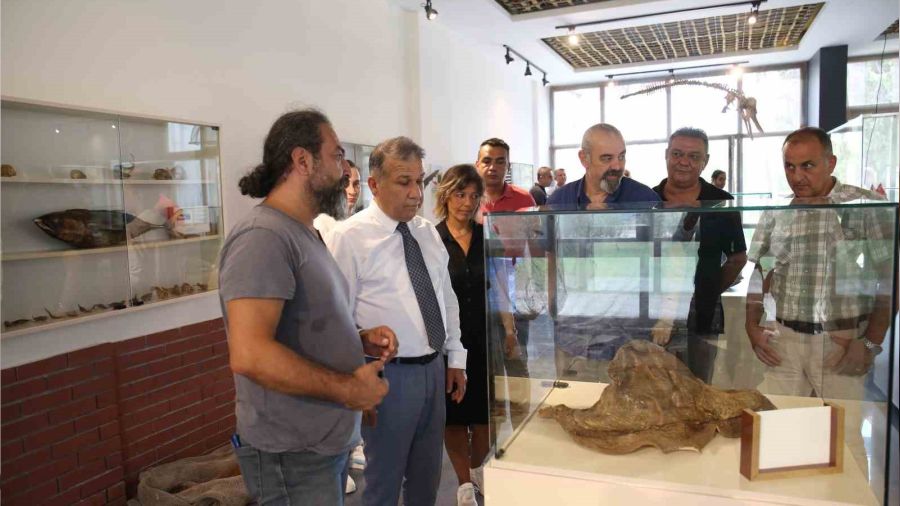 Blgenin ilk deniz canllar mzesi Mersin'de alyor