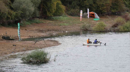 Bolu'da balık ölümleri sazan yakalama yarışını sonlandırdı