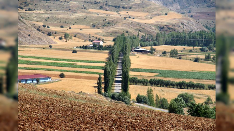 Bu koridora giren hayran kal�yor