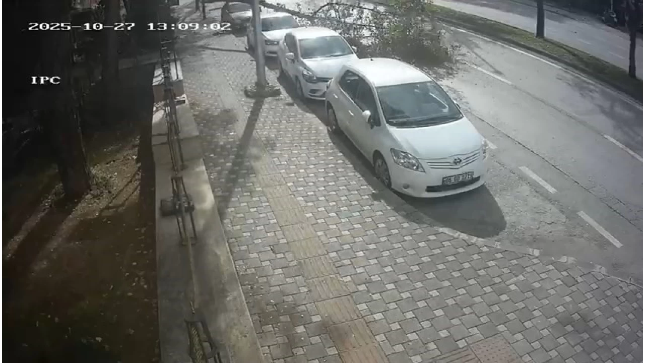 Bursa'da fırtına ağacı böyle devirdi