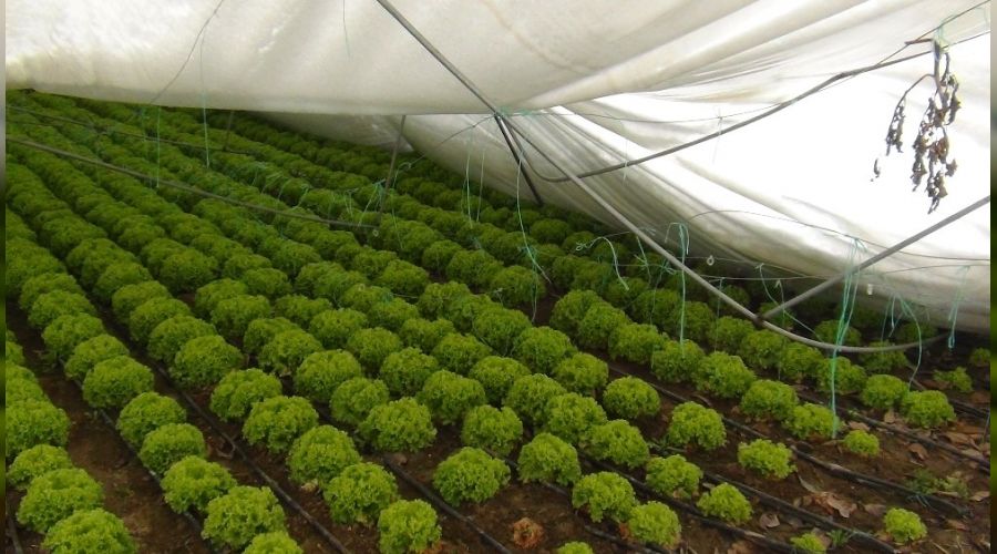 Bursa'da kar seralar vurdu